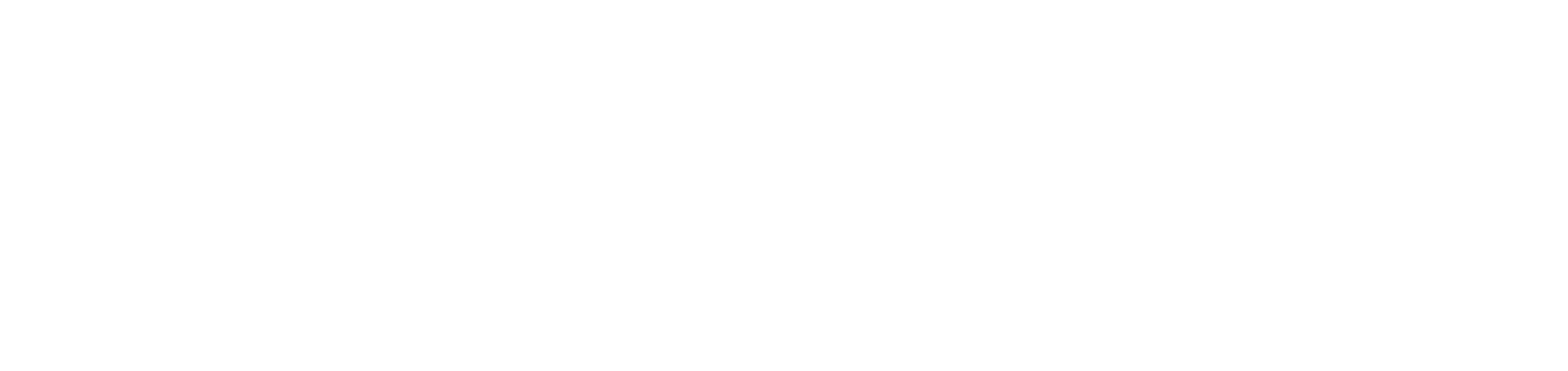 Mavins, digital marketing partner